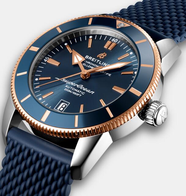 Online replica watches are chic for the blue color.